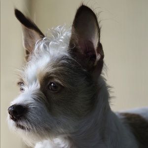 Meet your Posher, Sabine